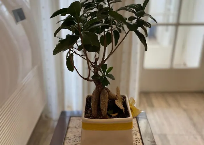 Apartment Lake Tirana Tirana