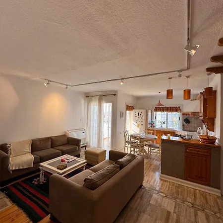 公寓 Apartment Lake Tirana *