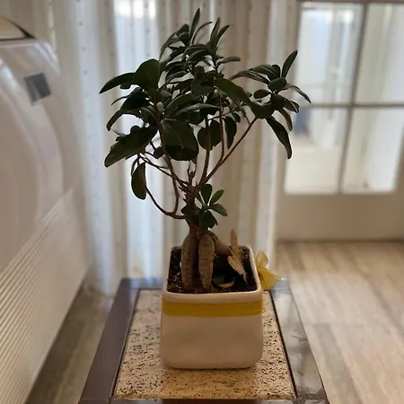 Apartment Lake Tirana 티라나