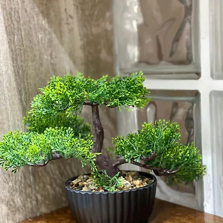 Appartamento Apartment Lake Tirana Tirana